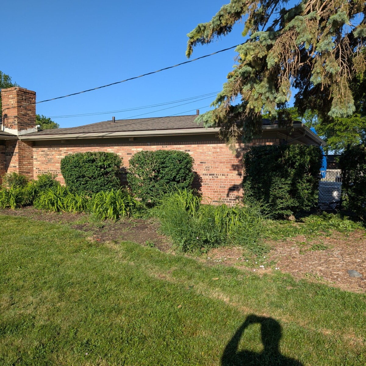 The Front Landscaping - Before
