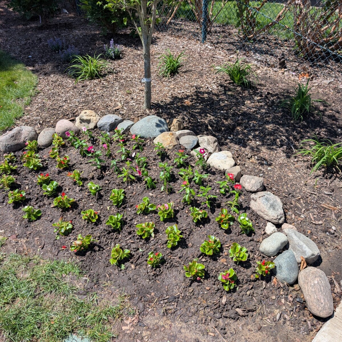 The Front Landscaping - After - 3 of 4
