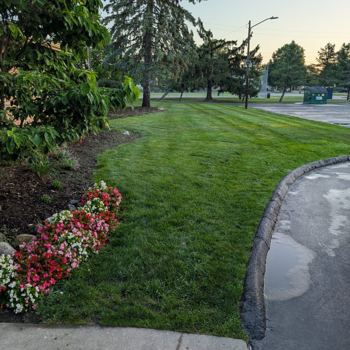 Morning Flowers, Lawn and Landscaping - 1 of 2