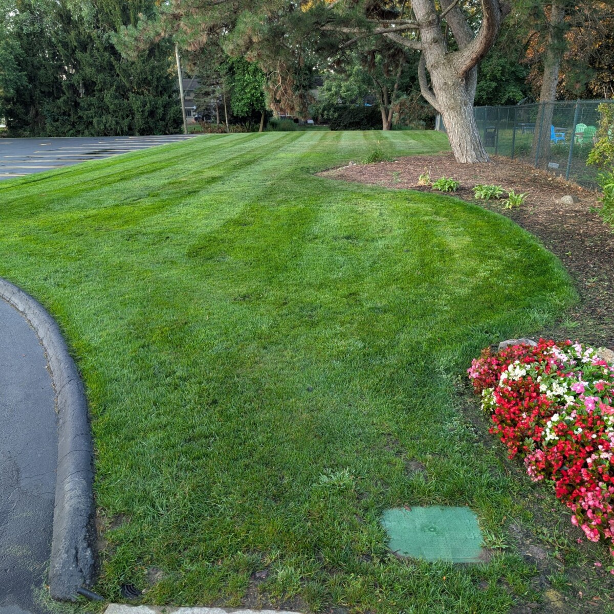 Morning Flowers, Lawn and Landscaping - 2 of 2