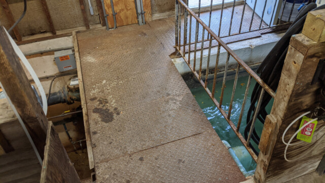 An alternate view of the old floor, surge tank and surge tank railing on July 20th, 2020. Old Floor and Surge Tank