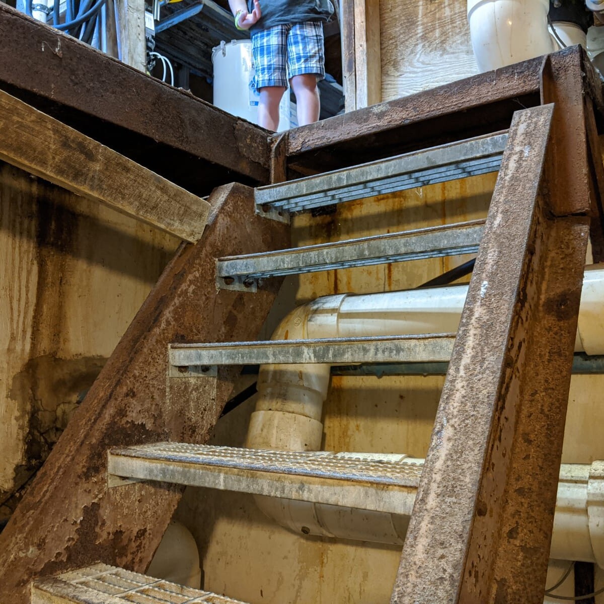 The old staircase (prior to refinishing) on July 20th, 2020. Old Staircase From Below