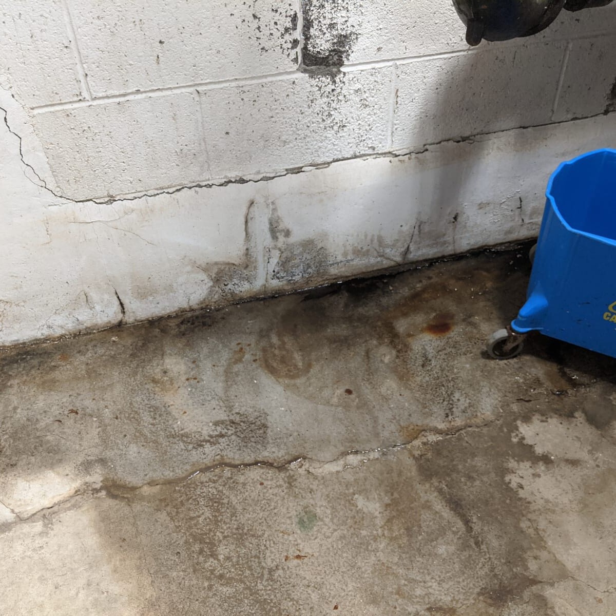 While some of the water shown was due to plumbing leaks, a good portion of the water was coming "up" from the foundation. Persistant Water and Mold Issue in August 2020