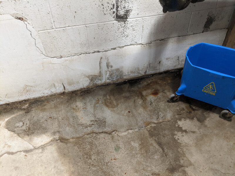 While some of the water shown was due to plumbing leaks, a good portion of the water was coming "up" from the foundation. Persistant Water and Mold Issue in August 2020