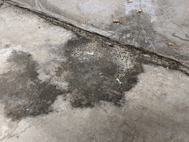 Despite the earlier abatement, it was clearly visible that water intrusion posed a continued mold risk. Persistent Mold Issue in September 2020