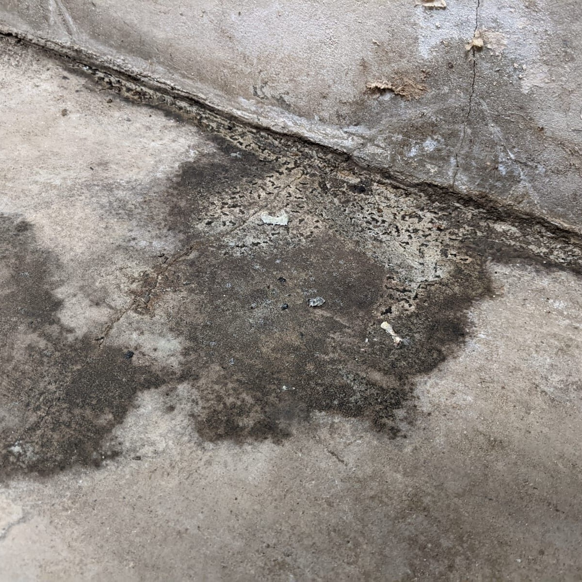 Despite the earlier abatement, it was clearly visible that water intrusion posed a continued mold risk. Persistent Mold Issue in September 2020