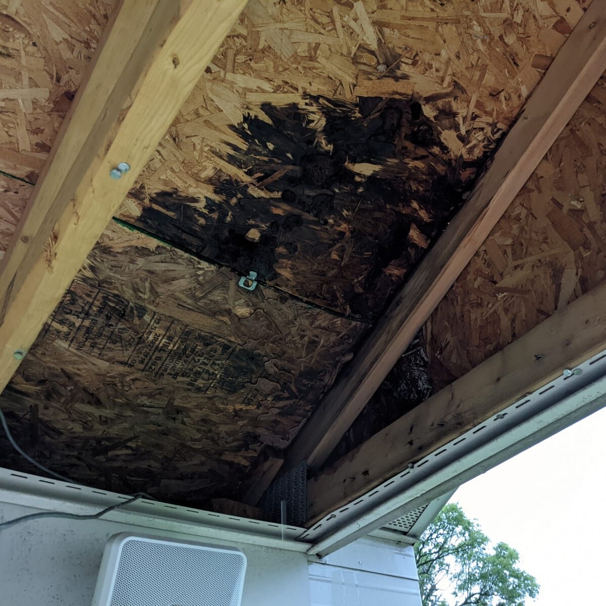 Water Damage in August 2021