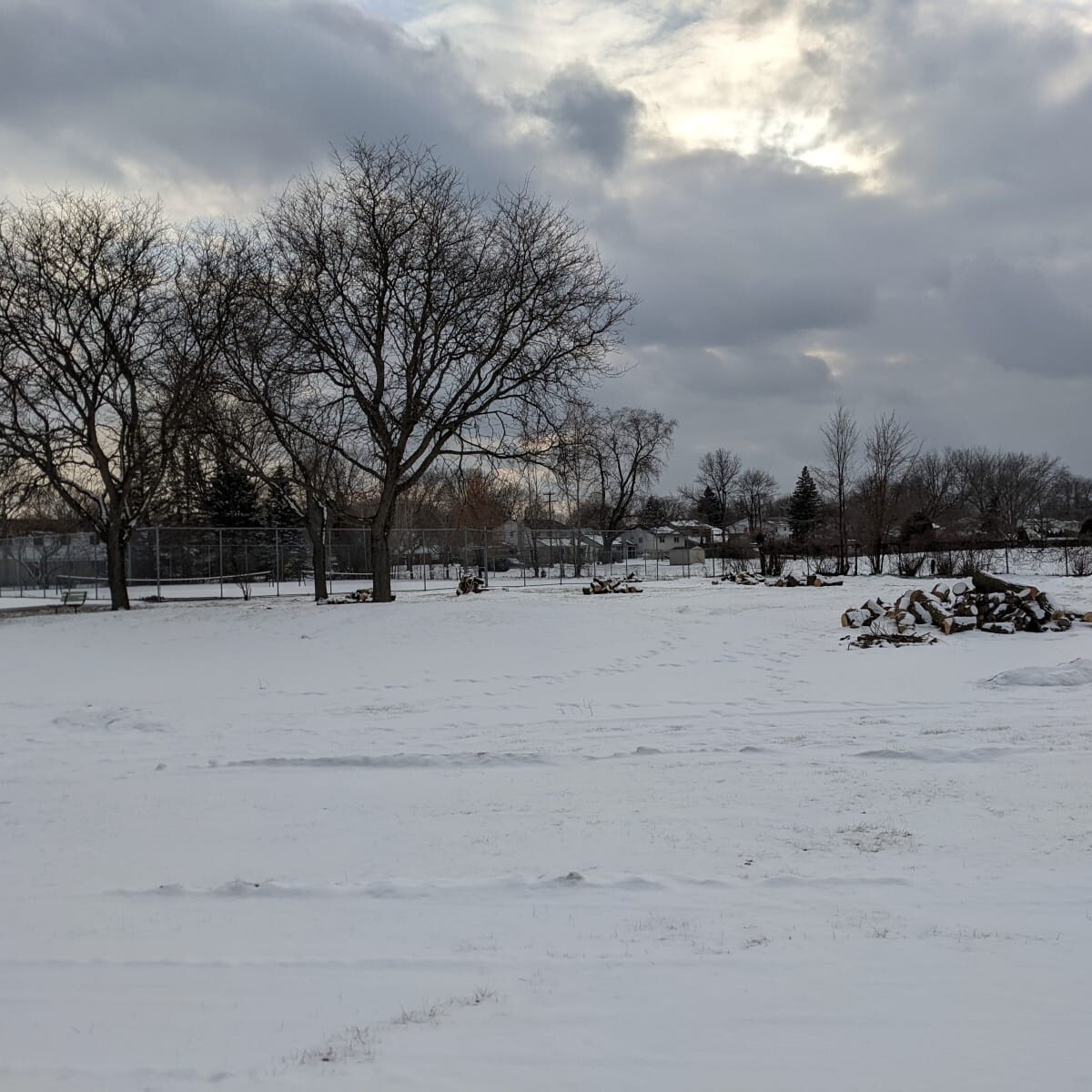 West Trees