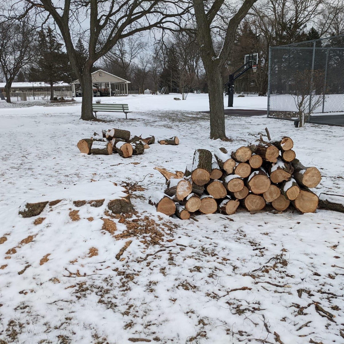 Stack of Logs