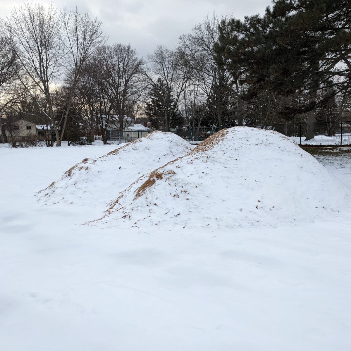 Parking Lot Woodchip Pile