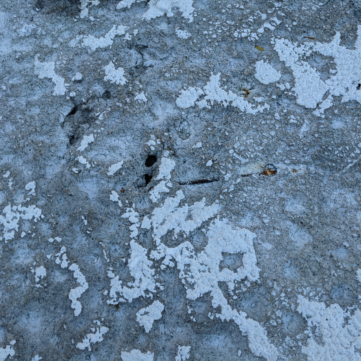 Pitted Floor